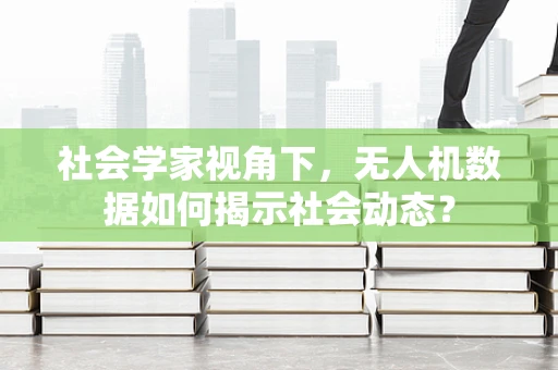 社会学家视角下，无人机数据如何揭示社会动态？