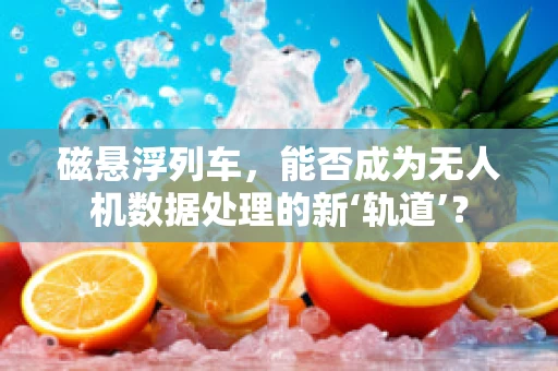 磁悬浮列车，能否成为无人机数据处理的新‘轨道’？