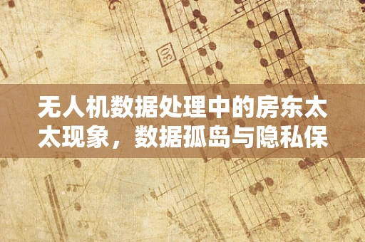 无人机数据处理中的房东太太现象，数据孤岛与隐私保护如何平衡？