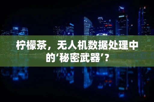 柠檬茶，无人机数据处理中的‘秘密武器’？