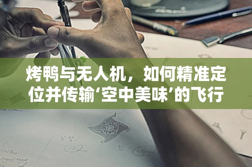 烤鸭与无人机，如何精准定位并传输‘空中美味’的飞行数据？