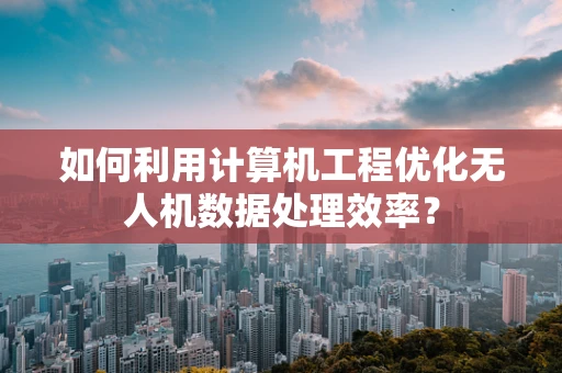 如何利用计算机工程优化无人机数据处理效率？