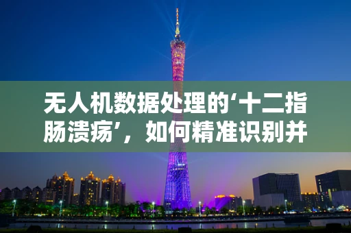 无人机数据处理的‘十二指肠溃疡’，如何精准识别并缓解？