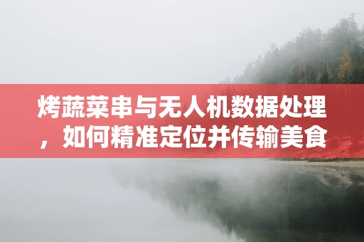 烤蔬菜串与无人机数据处理，如何精准定位并传输美食的‘热’情？