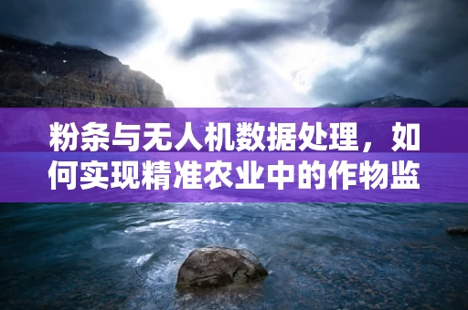 粉条与无人机数据处理，如何实现精准农业中的作物监测？