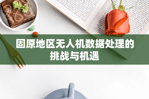 固原地区无人机数据处理的挑战与机遇