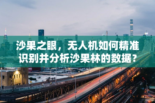沙果之眼，无人机如何精准识别并分析沙果林的数据？