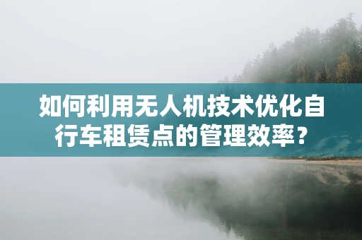 如何利用无人机技术优化自行车租赁点的管理效率？