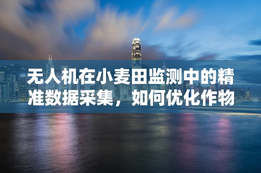 无人机在小麦田监测中的精准数据采集，如何优化作物生长监测的精度？