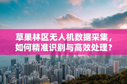 草果林区无人机数据采集，如何精准识别与高效处理？