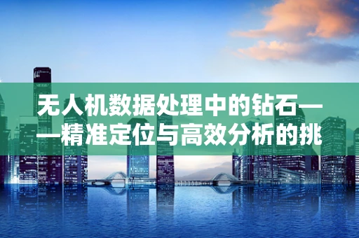 无人机数据处理中的钻石——精准定位与高效分析的挑战