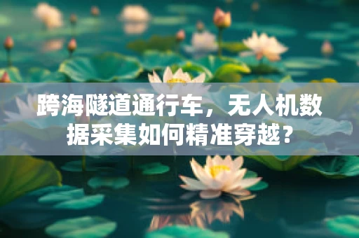 跨海隧道通行车，无人机数据采集如何精准穿越？