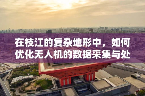 在枝江的复杂地形中，如何优化无人机的数据采集与处理效率？