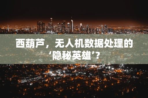 西葫芦，无人机数据处理的‘隐秘英雄’？