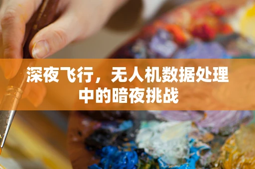 深夜飞行，无人机数据处理中的暗夜挑战
