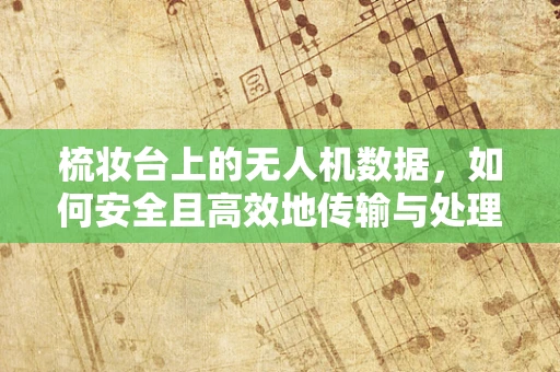 梳妆台上的无人机数据，如何安全且高效地传输与处理？