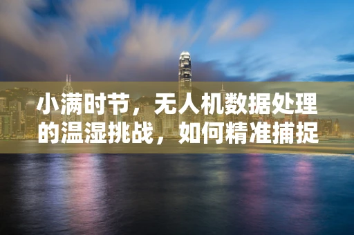 小满时节，无人机数据处理的温湿挑战，如何精准捕捉农田湿度变化？