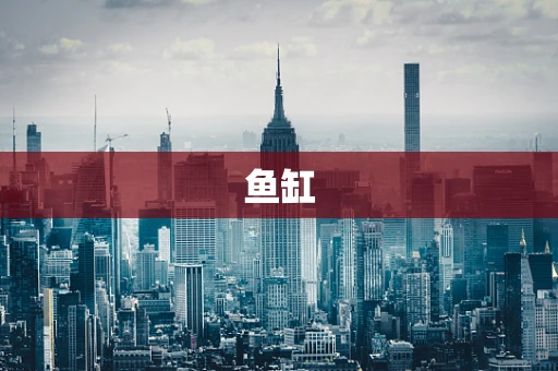 鱼缸