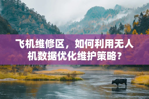 飞机维修区，如何利用无人机数据优化维护策略？
