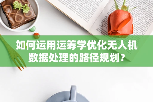 如何运用运筹学优化无人机数据处理的路径规划？