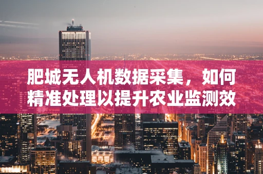 肥城无人机数据采集，如何精准处理以提升农业监测效率？