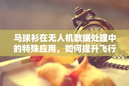 马球衫在无人机数据处理中的特殊应用，如何提升飞行员的视觉识别能力？