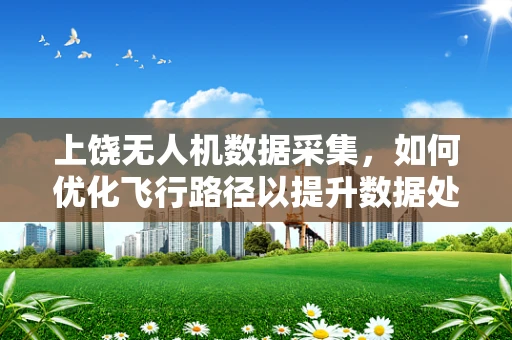 上饶无人机数据采集，如何优化飞行路径以提升数据处理效率？