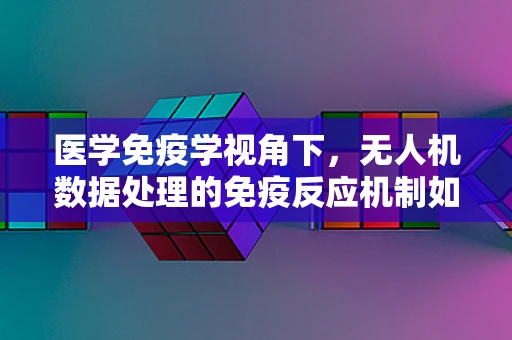 医学免疫学视角下，无人机数据处理的免疫反应机制如何优化？