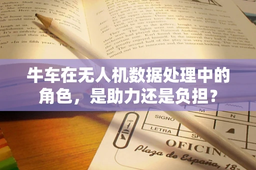 牛车在无人机数据处理中的角色，是助力还是负担？