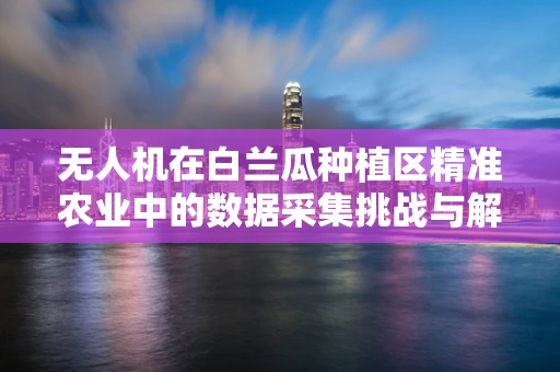 无人机在白兰瓜种植区精准农业中的数据采集挑战与解决方案