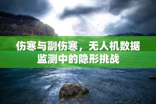 伤寒与副伤寒，无人机数据监测中的隐形挑战
