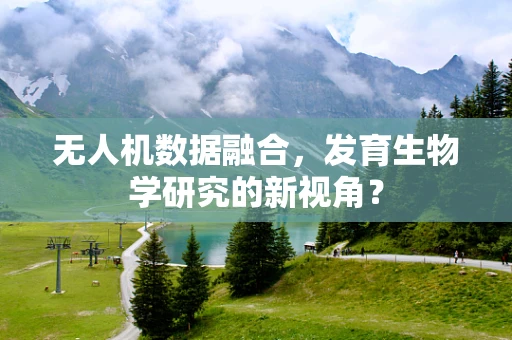 无人机数据融合，发育生物学研究的新视角？
