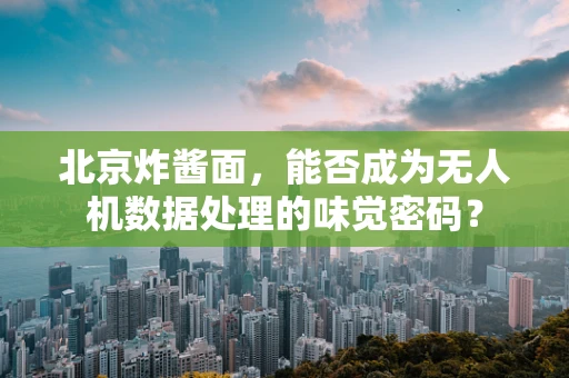 北京炸酱面，能否成为无人机数据处理的味觉密码？