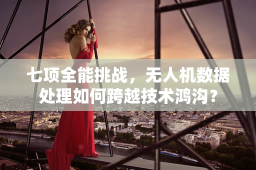 七项全能挑战，无人机数据处理如何跨越技术鸿沟？