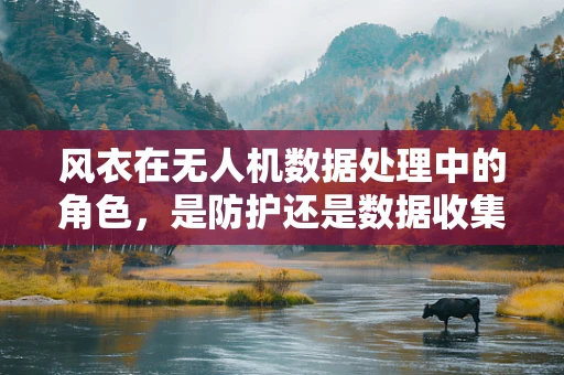 风衣在无人机数据处理中的角色，是防护还是数据收集的‘伪装’？