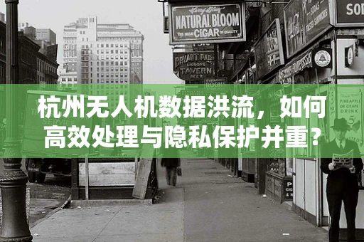杭州无人机数据洪流，如何高效处理与隐私保护并重？