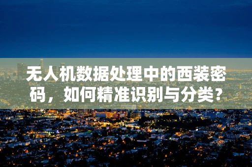无人机数据处理中的西装密码，如何精准识别与分类？