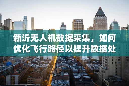 新沂无人机数据采集，如何优化飞行路径以提升数据处理效率？