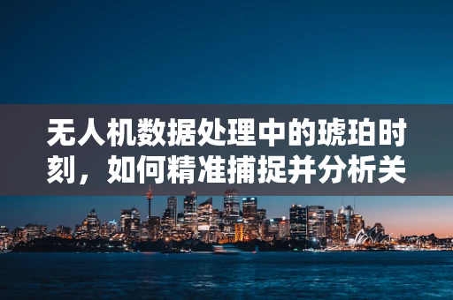无人机数据处理中的琥珀时刻，如何精准捕捉并分析关键飞行数据？