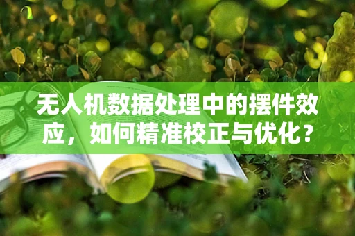无人机数据处理中的摆件效应，如何精准校正与优化？