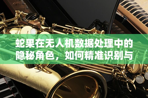 蛇果在无人机数据处理中的隐秘角色，如何精准识别与利用？