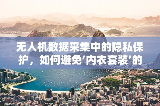 无人机数据采集中的隐私保护，如何避免‘内衣套装’的尴尬？