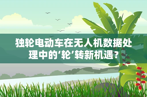 独轮电动车在无人机数据处理中的‘轮’转新机遇？