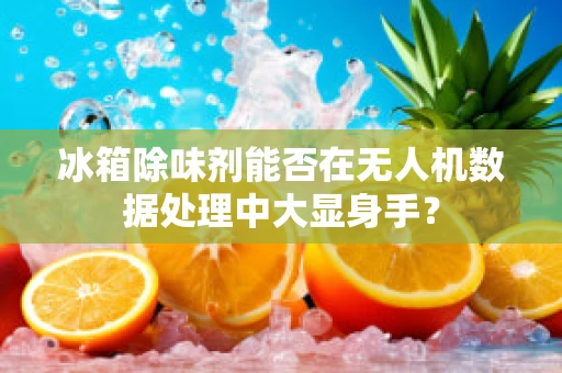 冰箱除味剂能否在无人机数据处理中大显身手？