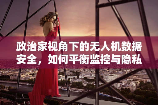 政治家视角下的无人机数据安全，如何平衡监控与隐私？