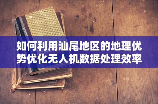 如何利用汕尾地区的地理优势优化无人机数据处理效率？