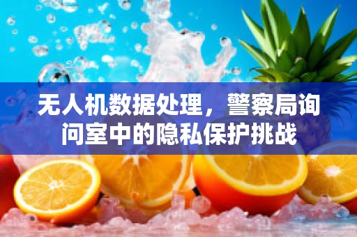 无人机数据处理，警察局询问室中的隐私保护挑战