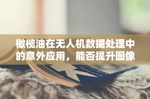 橄榄油在无人机数据处理中的意外应用，能否提升图像识别精度？