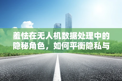 羞怯在无人机数据处理中的隐秘角色，如何平衡隐私与数据共享？