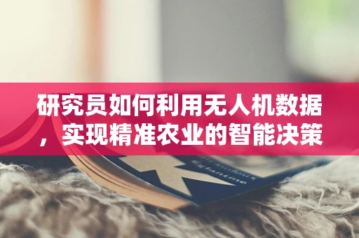 研究员如何利用无人机数据，实现精准农业的智能决策？